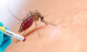 Dengue