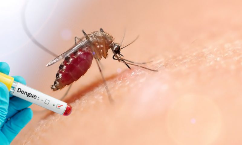 Dengue