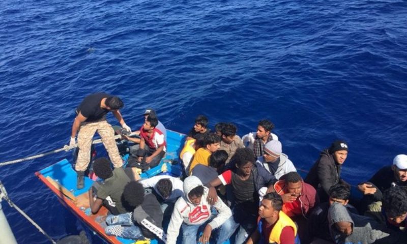 Migrant