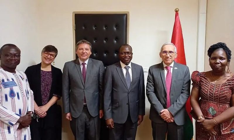 Mali, Niger, Burkina Faso, Africa, President, Coup, Al Qaeda, Government, Sahel, Twitter, Defense, Junta