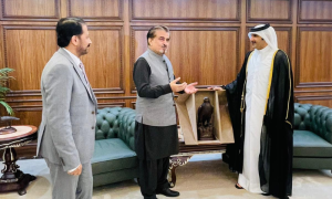 Pakistan, Qatar Vow to Further Enhance Cultural Relations