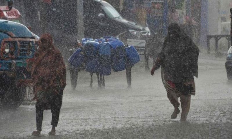 Rain