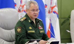 Russian, Defence Minister, Sergei Shoigu, Iran, Tehran, Moscow, North Korea, Ukraine, Western, Foreign Minister