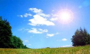 Weather