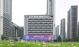 Xi
