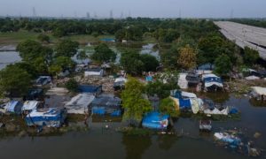 new dehli