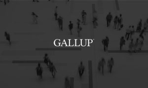 Pakistan, Businesses, Gallup Survey, Economic, Prices, Inflation, IMF, Government, Energy