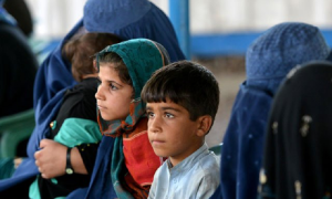 800 Afghan Nationals Detained in Pakistan in Search Operation