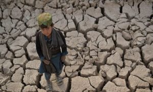 Climate