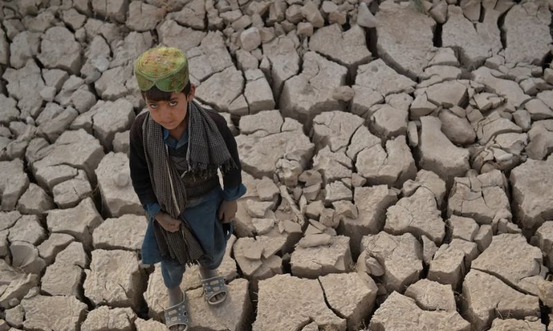 Climate