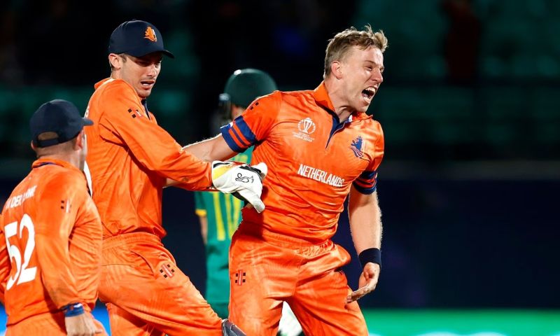 Cricket