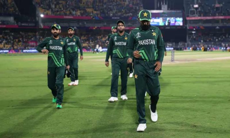 Cricket