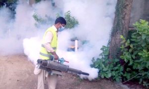 Dengue