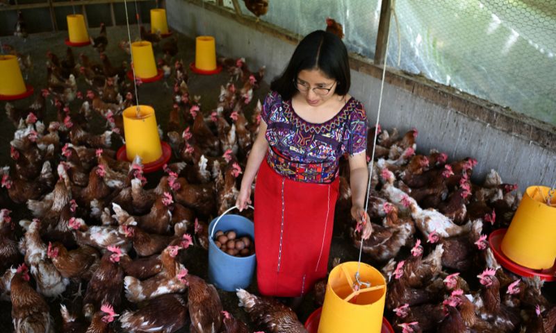 Guatemala 1