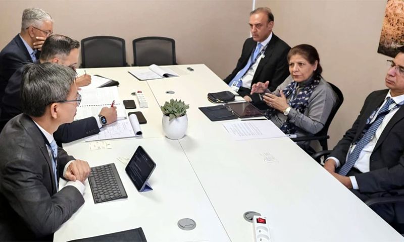 IMF