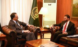 Pakistan, US, Human Rights, Jalil Abbas Jilani, Rashad Hussain