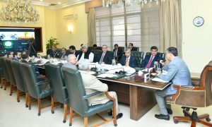 Pakistan, Prime Minister, Petroleum, Anwaar-ul-Haq Kakar, prices, Mohsin Naqvi, Justice (Retd) Maqbool Baqar, Azam Khan, Petrol
