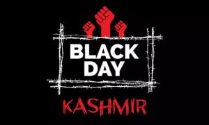 Kashmir Peace Institute (KPI), Secretary General, Kashmir, Palestine, United Nations, Security Council, UNSC