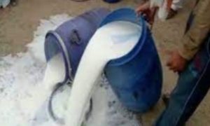 Milk