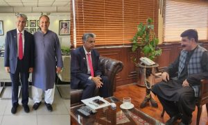 Government, Pakistan Peoples Party, PPP, PML-N, Pakistan Muslim League-Nawaz, ECP, Pakistan Tehreek-e-Insaf, PTI, Election Commission of Pakistan