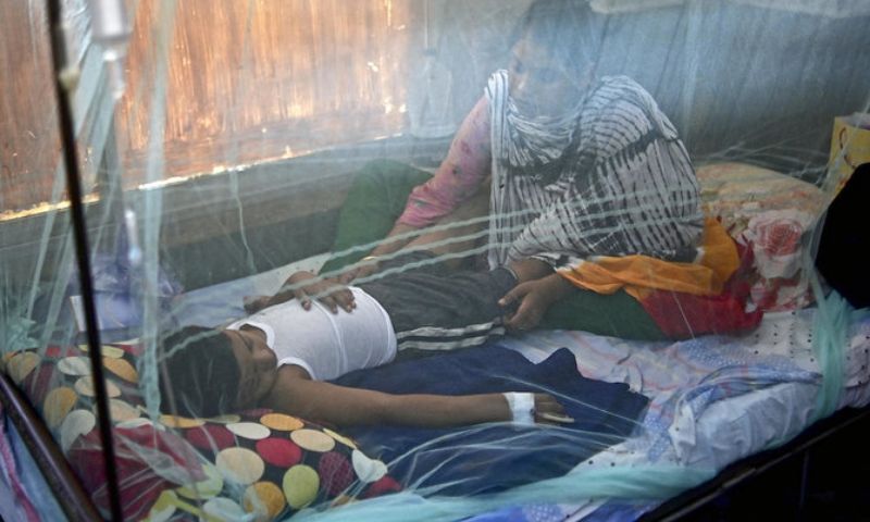 Dengue