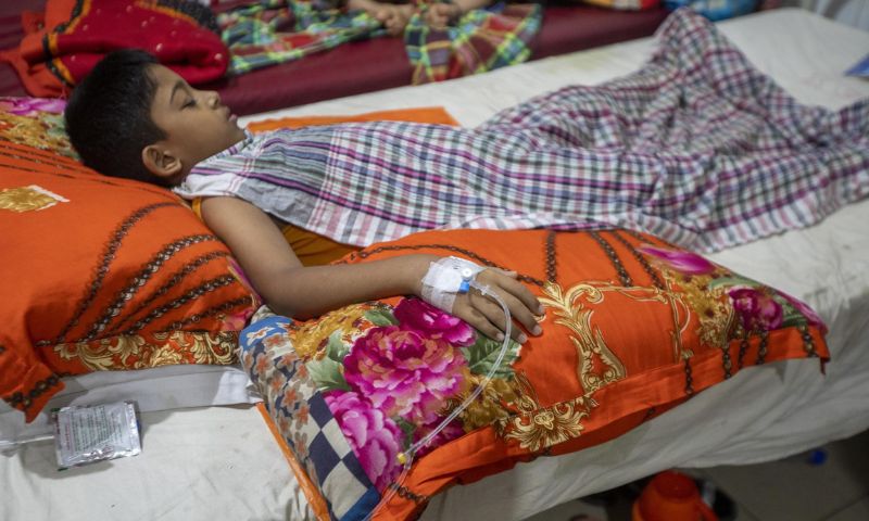 Dengue