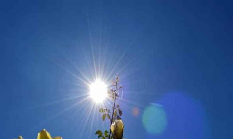Weather