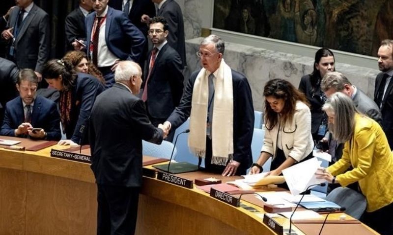 UNSC