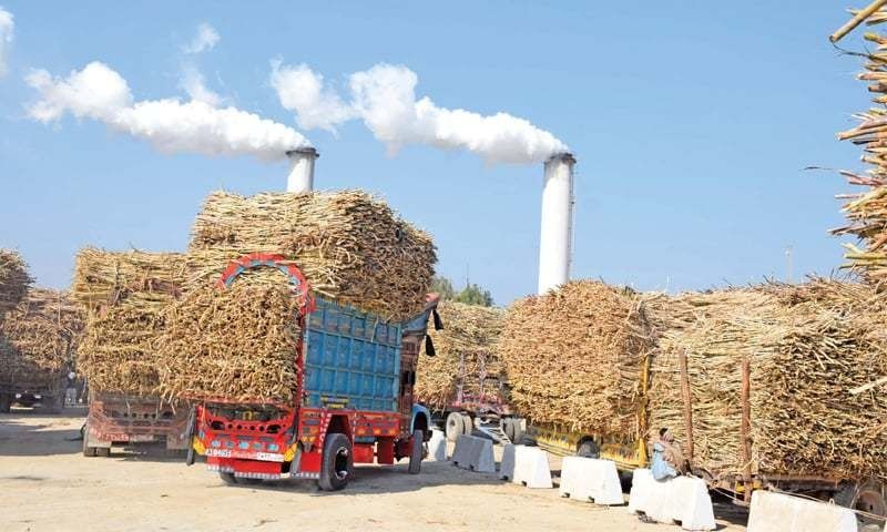 Sugar Cartels