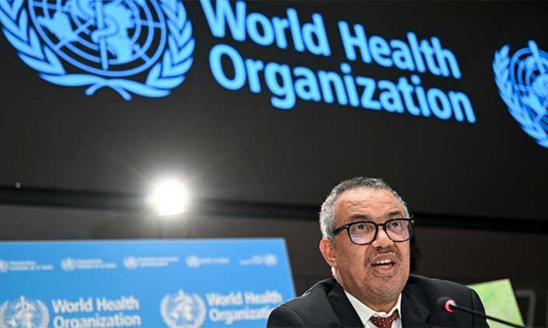 WHO, Israel, Gaza, Patients, Hospitals, World Health Organization, Palestinians, United Nations, European Union, Diplomat, Health,