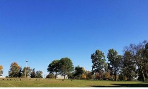 Weather