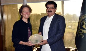Canadian High Commissioner, Pakistan, Leslie Scanlon, Chairman Senate, Sadiq Sanjrani, Middle East, UN resolutions
