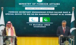 Organization of Islamic Cooperation, OIC, envoy, Pakistan, India, Kashmir, IIOJK, AJK, diplomat, Summit, Gambia,
