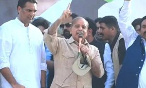 Nawaz Sharif, Pakistan, Pakistan Muslim League-Nawaz, PML-N, President, prime minister, Shehbaz Sharif, Lahore, London, health, Rana Sanaullah