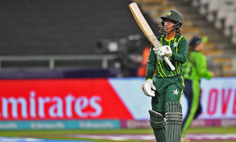 Cricket,