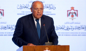Egypt, Arab Top Diplomats Embark on Foreign Tour to end Gaza War