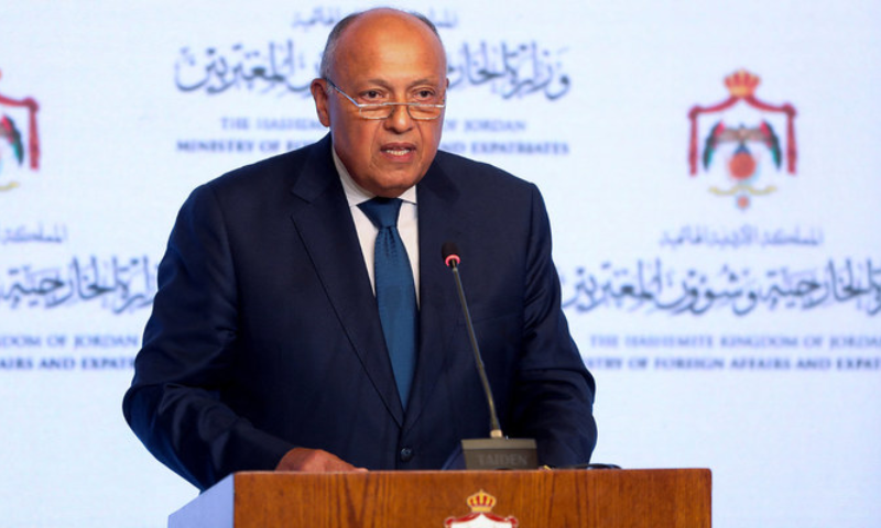 Egypt, Arab Top Diplomats Embark on Foreign Tour to end Gaza War