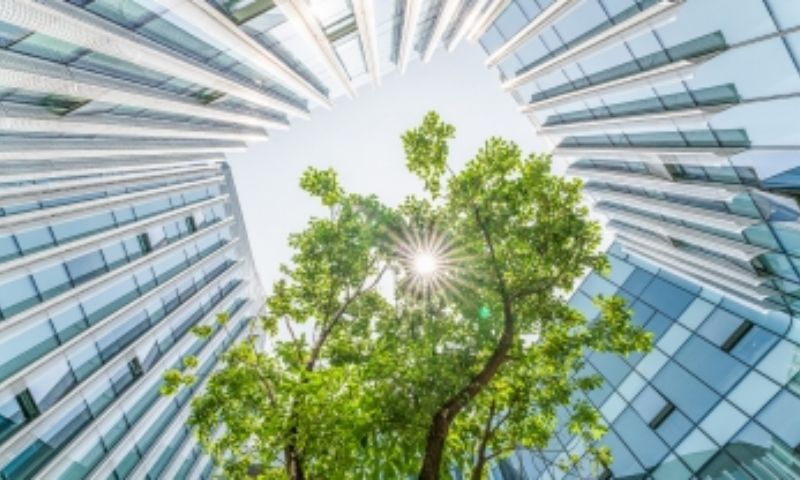 Claimate Change, GCC, GCC's economic and environmental initiatives, UAE,