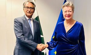 Pakistan, Foreign Minister, Jalil Abbas Jilani, European Union Commissioner, Ylva Johansson, Brussels, migration,
