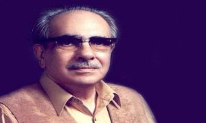 Jamiluddin Aali
