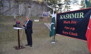 Pakistan, Ambassador, Turkiye, Indian, Kashmir, Israel, Black Day, Ankara