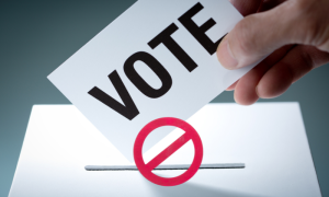 Madagascar: Parliamentary Chief Calls for Suspension of Election