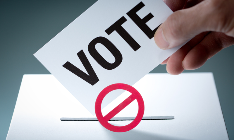 Madagascar: Parliamentary Chief Calls for Suspension of Election