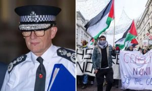 Pro-Palestine March, Armistice Day, London Police, United Kingdom, WHO, Gaza,
