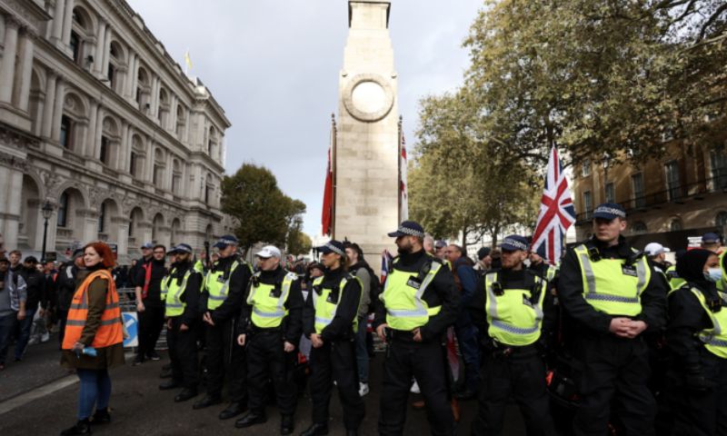 Pro-Palestine March, Armistice Day, London Police, United Kingdom, WHO, Gaza, 