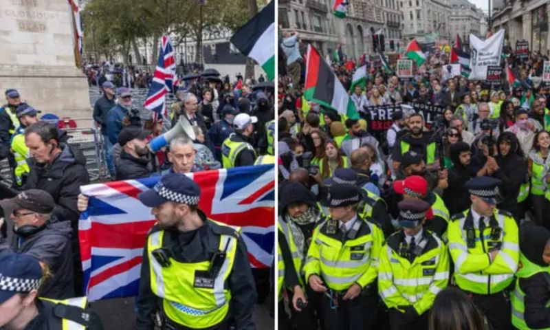 Pro-Palestine March, Armistice Day, London Police, United Kingdom, WHO, Gaza, 