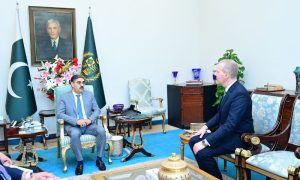 Russian, Ambassador, Pakistan, Prime Minister, Anwaar-ul-Haq Kakar, Islamabad, cooperation, ties, relations,
