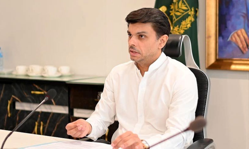 Pakistan Discusses Opportunities for its Professionals in Saudi Arabia