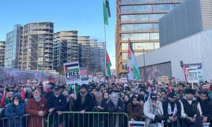 Pro-Palestinian