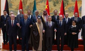 Muslim, Foreign Ministers, Visit, UNSC, Ceasefire, Gaza, Palestine, Saudi Arabia, Nigeria, Arab League, OIC, Egypt, Arab, Kingdom of Jordan, Prime Minister, Qatar, Türkiye, Indonesia, Gaza Strip